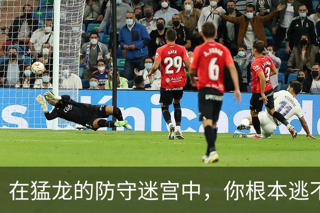 在猛龙的防守迷宫中，你根本逃不掉！