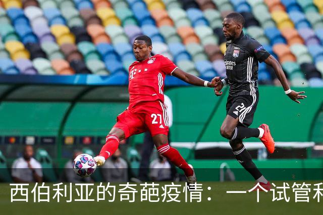 西伯利亚的奇葩疫情：一个试管和一场恐慌